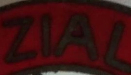 Real or fake? NSDAP partabzeichen pin