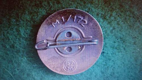 NSDAP member pin