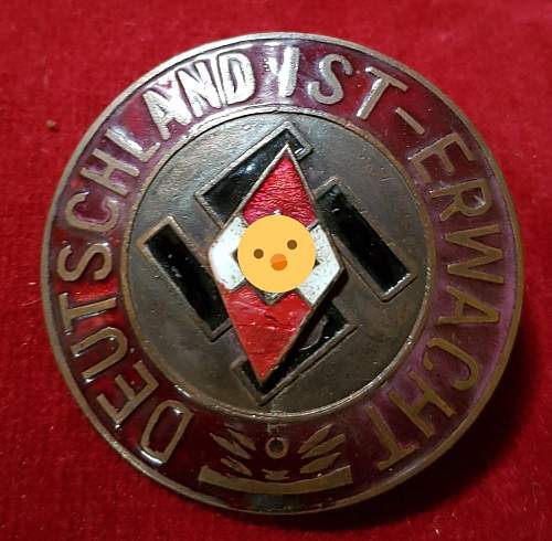 Need help! with this NSDAP Deutschland ist erwacht badge