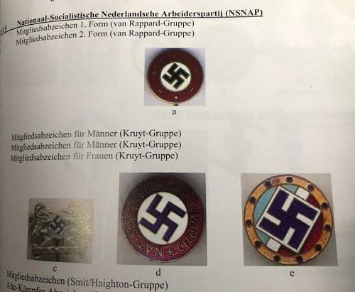 Early sympathizer pin with blue swastica