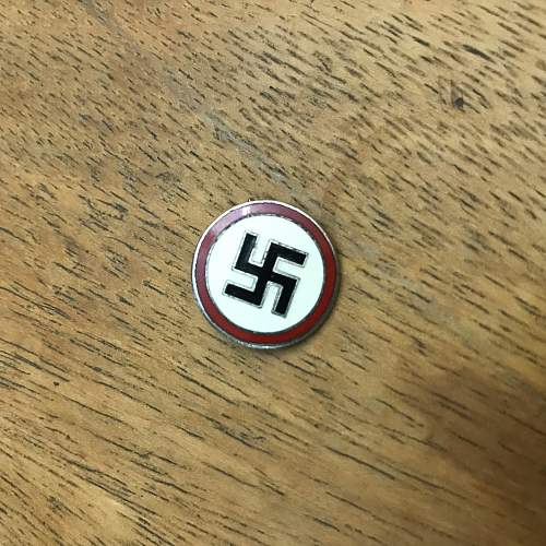 NSDAP Pins