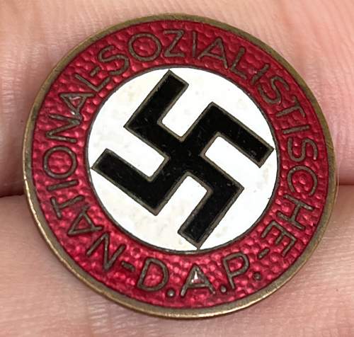 NSDAP Pin M1/152