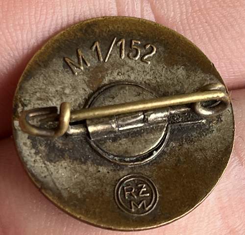 NSDAP Pin M1/152