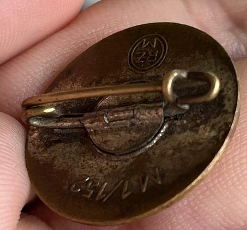 NSDAP Pin M1/152