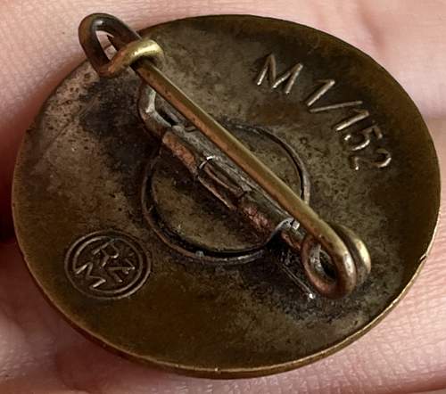 NSDAP Pin M1/152