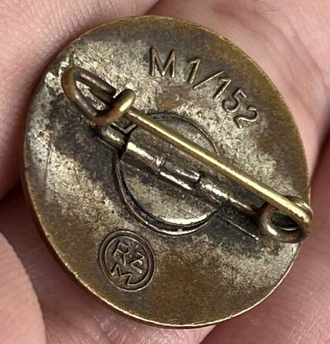 NSDAP Pin M1/152