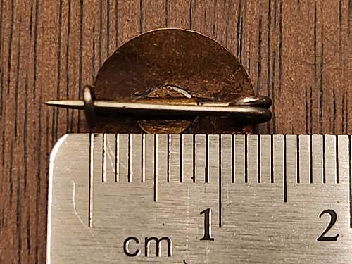 13mm Parteiabzeichen Miniature, Unmarked
