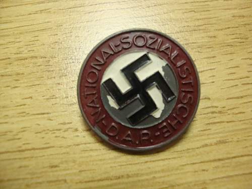 Painted NSDAP Pin Care