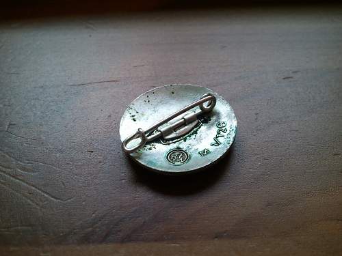 Real or Fake NSDAP Nazi Party Pin Badge.