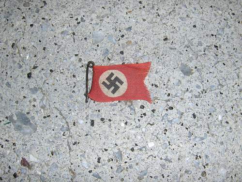 Party Flag Pin