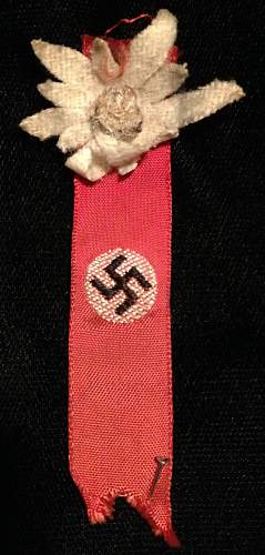 Party Flag Pin