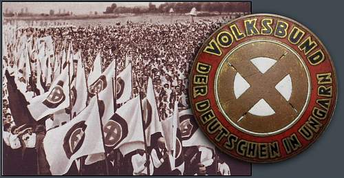 Volksbund der Deutschen in Ungarn ........ real?