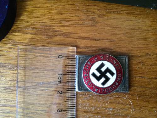 Nsdap badge opinion