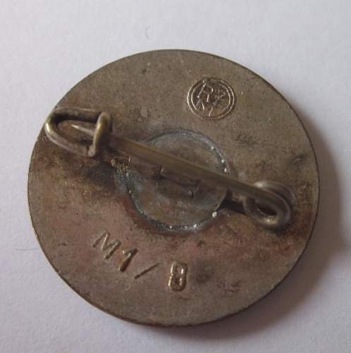 NSDAP Pin and SS Membership Stick Pin