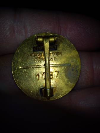 gold NSDAP pin