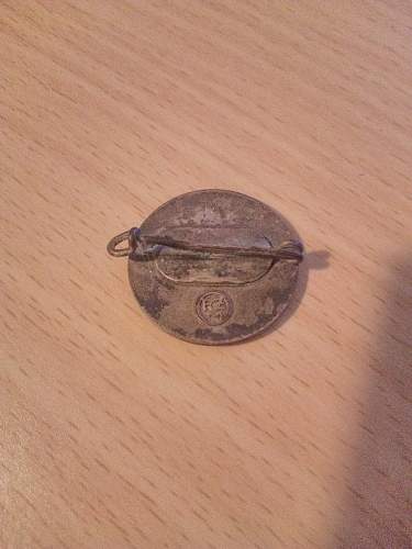 NSDAP member pin