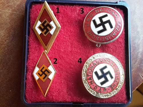Found multiple badges and pins.