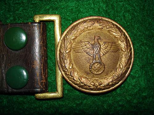State Forestry Buckles