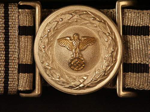 Diplomatic Brocade Belt &amp; Buckle