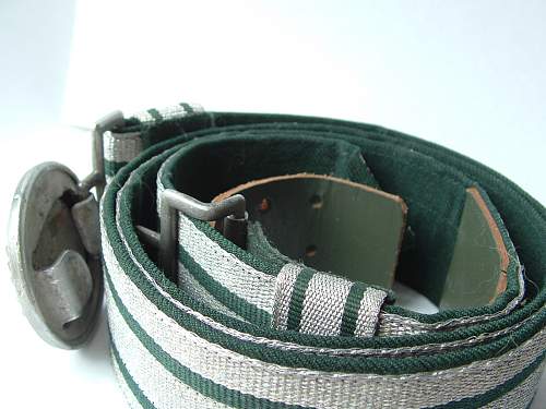 Forestry belt and buckle