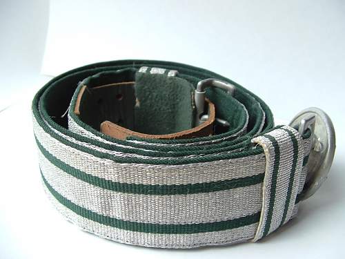 Forestry belt and buckle