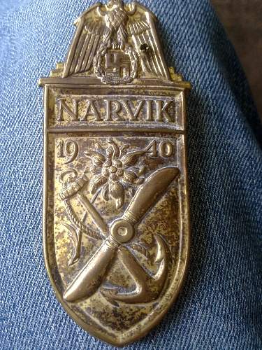 Opinion needed on this golden Narvik shield