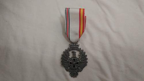 Division azul medal