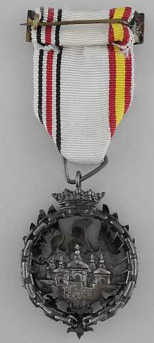 Division azul medal