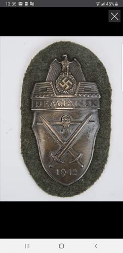 Demjansk  shield