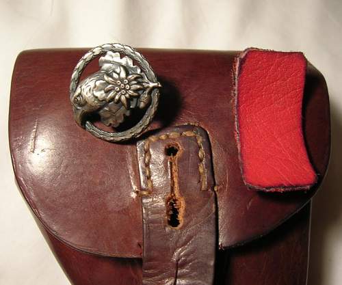 Identify this badge/emblem on holster?