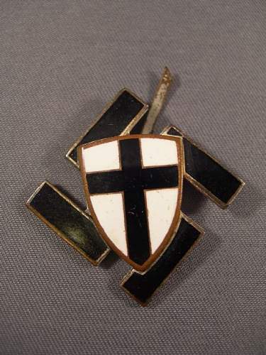 Swastika/Teutonic Shield badge???