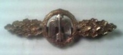 Luftwaffe Badge and Clasp?