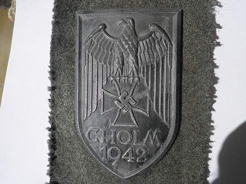 Opinions on Cholm Shield