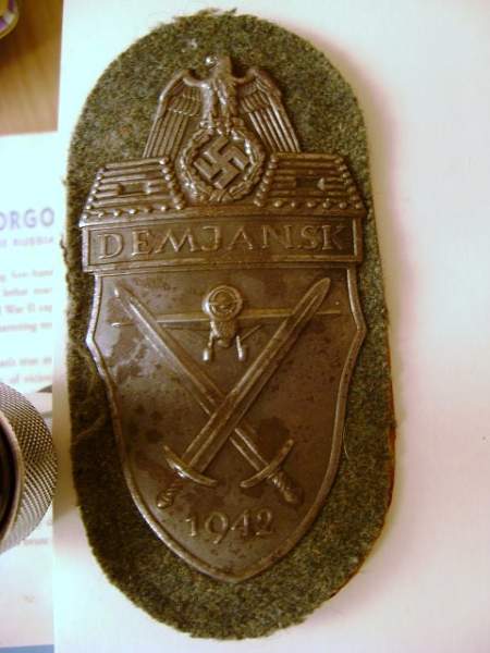 Demjansk shield