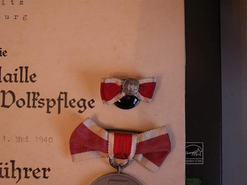 Medal for Volkspflege. Original?