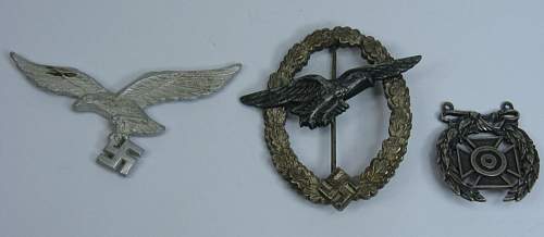 Glider pilots badge