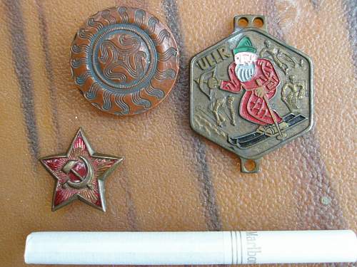 Help Please-What is This German Pin- Badge &amp; ULLR?