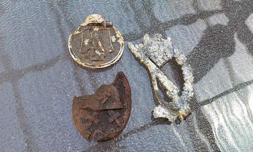 Some more relic badges from Poland