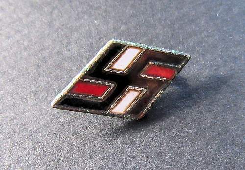 NS Studentbund pin