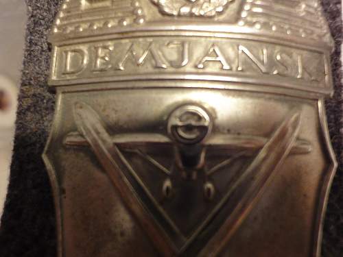 Demjansk Shield Real or Fake Please Help