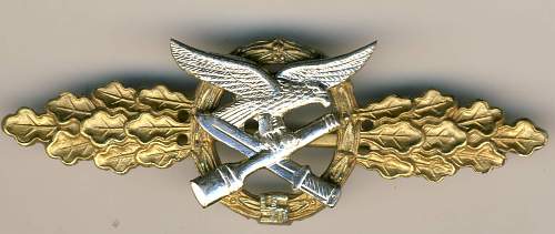 air force badge