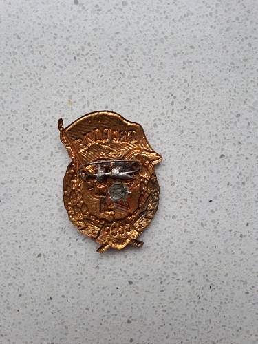 Guard's Badge