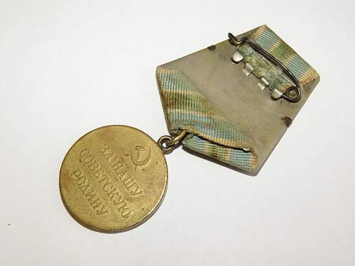 Salty early, 1st type Medal for the Defence of the Soviet Transarctic (Polar regions)