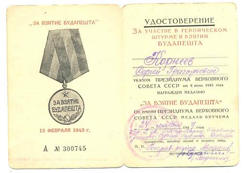 Campaign medal documents