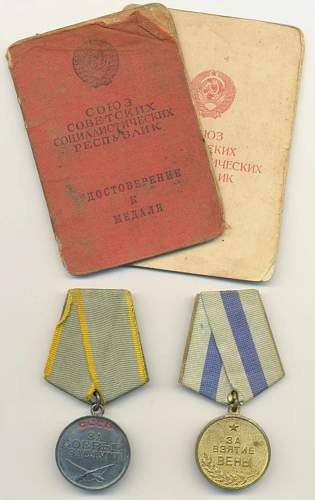 Combat merit/vienna capture medal grouping