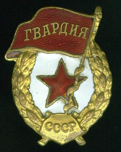 Guard's Badge