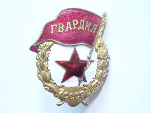 Guard's Badge