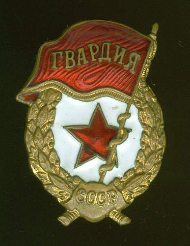 Guard's Badge