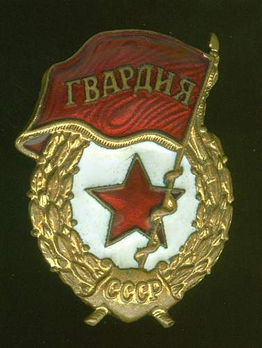 Guard's Badge