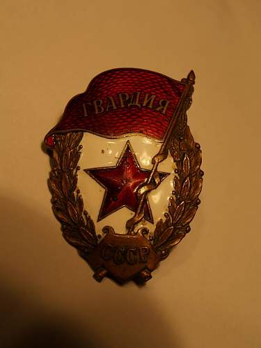 Guard's Badge